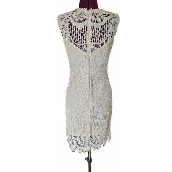 Main Strip Sleeveless Crochet Lace Knee Length Dress Cream Nude Womens - Picture 6 of 16